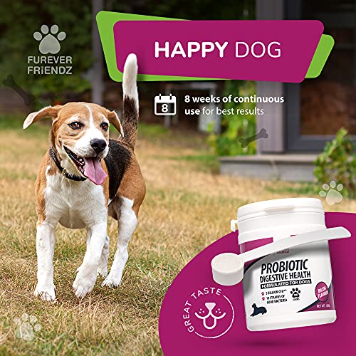 Dog Probiotic Powder – Chicken & Bacon Flavour Probiotic for Dogs – Dog Digestive Supplements w/No Gluten or Dairy – Mix-In Powdered Probiotics for Dogs Powder by Furever Friendz - Image 5