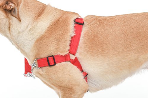 Chaos NON PULL DOG HARNESS - ADJUSTABLE DOG HARNESS - Image 3