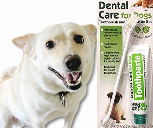Dental Care For Dogs Toothpaste 100g and Toothbrush Dental Kit No Rinsing - Image 3