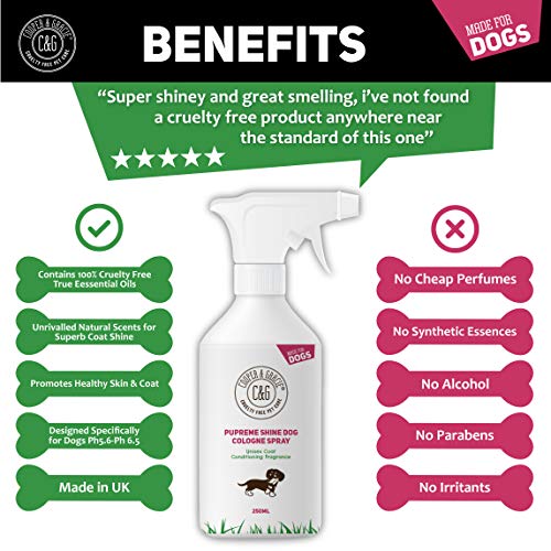 Detangling Dog Perfume Spray 250ml | Leaves Dog Coat Detangled and Super Shiny | A Great Long Lasting Dogs Hypoallergenic Grooming Cologne | Citrus Eucalyptus Lemongrass Essential Oils Scents - Image 3