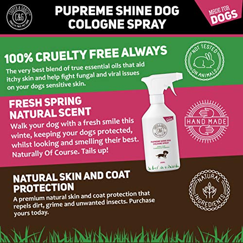 Detangling Dog Perfume Spray 250ml | Leaves Dog Coat Detangled and Super Shiny | A Great Long Lasting Dogs Hypoallergenic Grooming Cologne | Citrus Eucalyptus Lemongrass Essential Oils Scents - Image 4