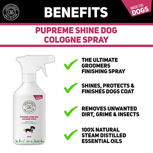 Detangling Dog Perfume Spray 250ml | Leaves Dog Coat Detangled and Super Shiny | A Great Long Lasting Dogs Hypoallergenic Grooming Cologne | Citrus Eucalyptus Lemongrass Essential Oils Scents - Image 7