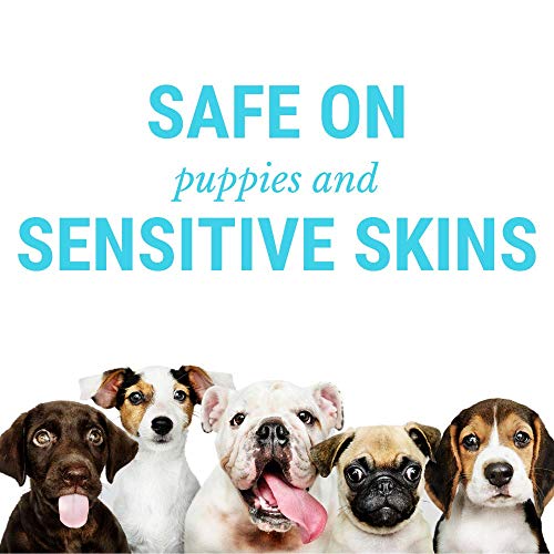 DogFresh Natural Oatmeal Dog and Cat Skin and Coat Cleansing, Detangling, Conditioning Shampoo Spray Effectively Soothes Irritations, Moisturises and Heals Skin, Neutralises Odours and Freshens - Image 3