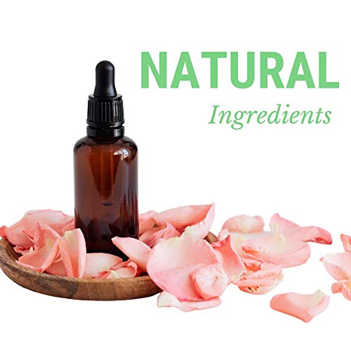 DogFresh Natural Oatmeal Dog and Cat Skin and Coat Cleansing, Detangling, Conditioning Shampoo Spray Effectively Soothes Irritations, Moisturises and Heals Skin, Neutralises Odours and Freshens - Image 4