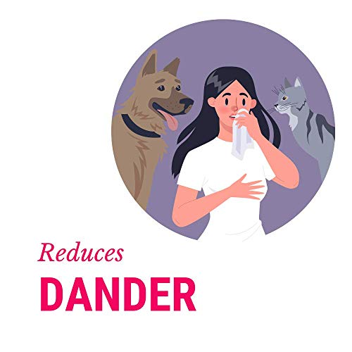 DogFresh Natural Oatmeal Dog and Cat Skin and Coat Cleansing, Detangling, Conditioning Shampoo Spray Effectively Soothes Irritations, Moisturises and Heals Skin, Neutralises Odours and Freshens - Image 5