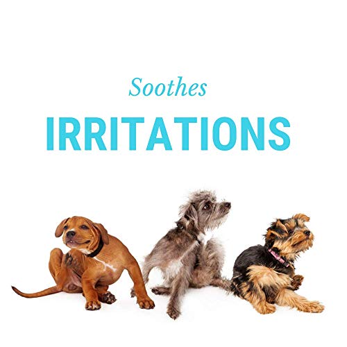 DogFresh Natural Oatmeal Dog and Cat Skin and Coat Cleansing, Detangling, Conditioning Shampoo Spray Effectively Soothes Irritations, Moisturises and Heals Skin, Neutralises Odours and Freshens - Image 6