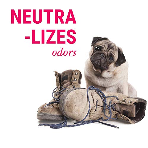 DogFresh Natural Oatmeal Dog and Cat Skin and Coat Cleansing, Detangling, Conditioning Shampoo Spray Effectively Soothes Irritations, Moisturises and Heals Skin, Neutralises Odours and Freshens - Image 8