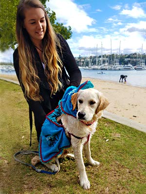 Dolphin & Dog® - Dog Towels - Super Absorbent Dog Towels, Pet Towel, Dog Microfibre Drying Towel, with Hand Pockets - 90cm x 30cm - Pet bath towel - Quick Drying Towels for Dogs - TWIN PACK - Image 3