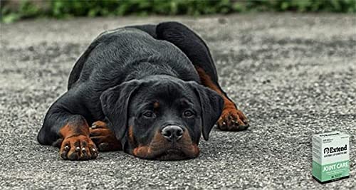 Extend - Joint Care For Dogs - 1 Month Supply - Glucosamine for Dogs with MSM & Ascorbic Acid - Pure Grade Ingredients - Image 6
