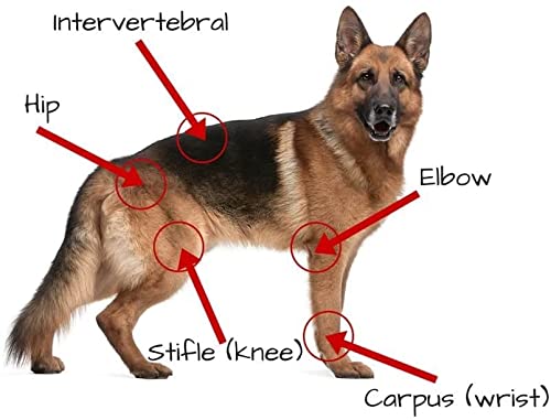 Extend - Joint Care For Dogs - 1 Month Supply - Glucosamine for Dogs with MSM & Ascorbic Acid - Pure Grade Ingredients - Image 7