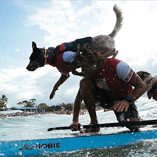 EZYDOG DFD Life Jacket | Lifejacket , Boating, Dog Friendly, Paddle Board, Superior Buoyancy, Rescue Handle, Reflective Stitching - Image 4