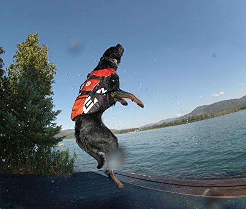 EZYDOG DFD Life Jacket | Lifejacket , Boating, Dog Friendly, Paddle Board, Superior Buoyancy, Rescue Handle, Reflective Stitching - Image 5