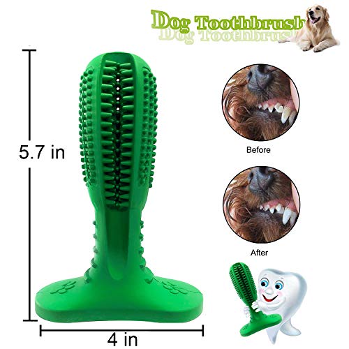 Focuses Dog Toothbrush Toy, Natural Rubber Chew Dog Toothbrush Stick for Medium Large Breed Pet Dog 360 Degree Teeth Cleaning, Oral Care Toys. - Image 4