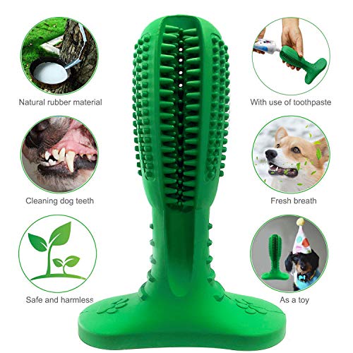 Focuses Dog Toothbrush Toy, Natural Rubber Chew Dog Toothbrush Stick for Medium Large Breed Pet Dog 360 Degree Teeth Cleaning, Oral Care Toys. - Image 5