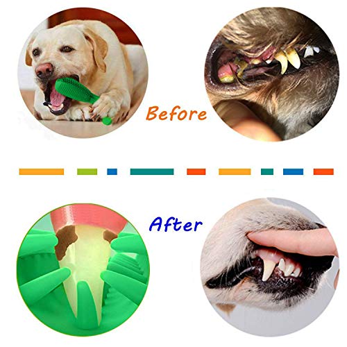 Focuses Dog Toothbrush Toy, Natural Rubber Chew Dog Toothbrush Stick for Medium Large Breed Pet Dog 360 Degree Teeth Cleaning, Oral Care Toys. - Image 7