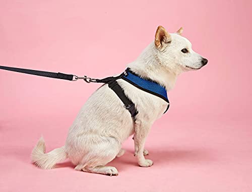 GOOBY Comfort X Head-In Harness - Image 8
