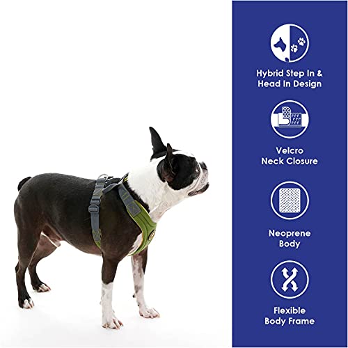 Gooby Convertible Dog Harness - Hybrid Step-in & Head-in Dog Harnesses for Small Dogs - Perfect on The Go Neoprene Dog Harness for Medium Dogs No Pull and Small Dog Harness for Indoor and Outdoor Use - Image 4