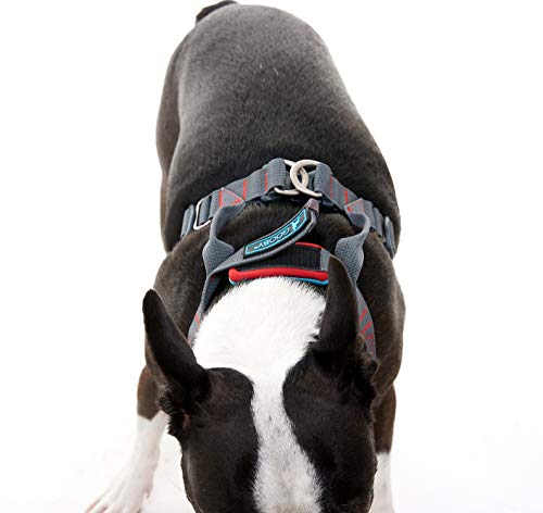 Gooby Convertible Dog Harness - Hybrid Step-in & Head-in Dog Harnesses for Small Dogs - Perfect on The Go Neoprene Dog Harness for Medium Dogs No Pull and Small Dog Harness for Indoor and Outdoor Use - Image 6