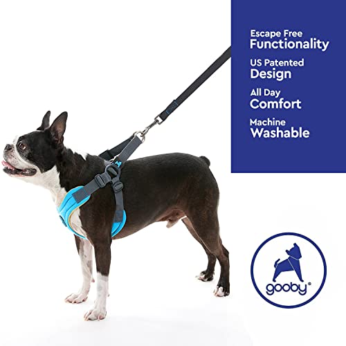 GOOBY Escape Free Memory Foam Harness - Blue, Large - No Pull Step-in Small Dog Harness with Four Point Adjustment - Perfect on The Go Dog Harness for Medium Dogs No Pull and Small Dogs - Image 5