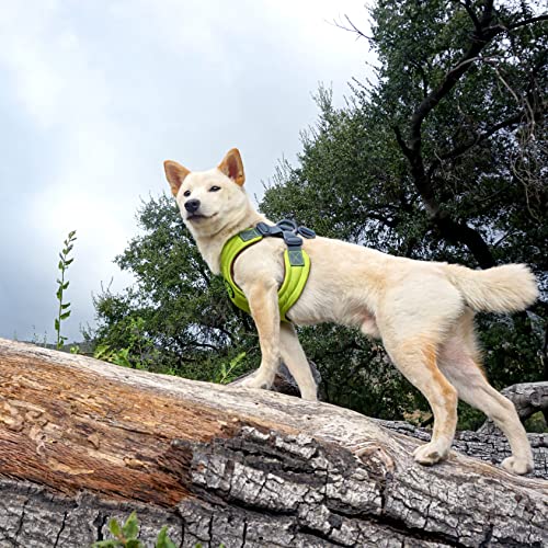 Gooby Escape Free Memory Foam Harness - Purple, Medium - No Pull Step-in Small Dog Harness with Four Point Adjustment - Perfect on The Go Dog Harness for Medium Dogs No Pull and Small Dogs - Image 8