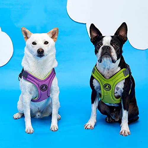 Gooby Escape Free Memory Foam Harness - Purple, Medium - No Pull Step-in Small Dog Harness with Four Point Adjustment - Perfect on The Go Dog Harness for Medium Dogs No Pull and Small Dogs - Image 9