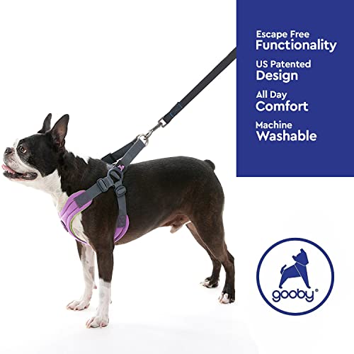 Gooby Escape Free Memory Foam Harness - Purple, Medium - No Pull Step-in Small Dog Harness with Four Point Adjustment - Perfect on The Go Dog Harness for Medium Dogs No Pull and Small Dogs - Image 5