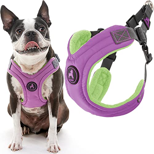 Gooby Escape Free Memory Foam Harness - Purple, Medium - No Pull Step-in Small Dog Harness with Four Point Adjustment - Perfect on The Go Dog Harness for Medium Dogs No Pull and Small Dogs - Image 2