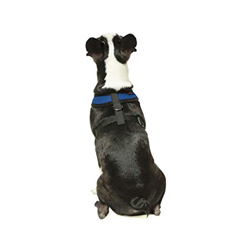 Gooby Soft Mesh Dog Harness - All Weather Mesh Head-in Small Dog Harness with D Ring Leash - Perfect on The Go Breathable Dog Harness for Medium Dogs No Pull and Small Dogs for Indoor and Outdoor Use - Image 6