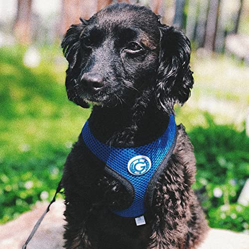 Gooby Soft Mesh Dog Harness - All Weather Mesh Head-in Small Dog Harness with D Ring Leash - Perfect on The Go Breathable Dog Harness for Medium Dogs No Pull and Small Dogs for Indoor and Outdoor Use - Image 7