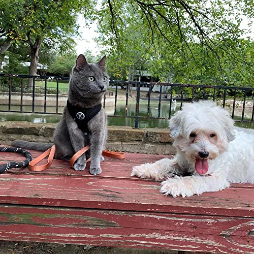 Gooby Soft Mesh Dog Harness - All Weather Mesh Head-in Small Dog Harness with D Ring Leash - Perfect on The Go Breathable Dog Harness for Medium Dogs No Pull and Small Dogs for Indoor and Outdoor Use - Image 8