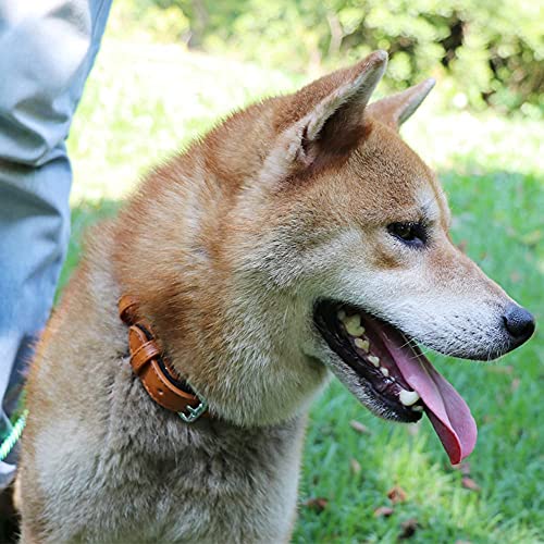 Grand Line Leather Dog Collar, Wider and Thicker Durable Dog Collar with Soft Padded, Adjustable Pet Dog Collar for Small Medium Large Cat Puppy (Brown, M) - Image 7