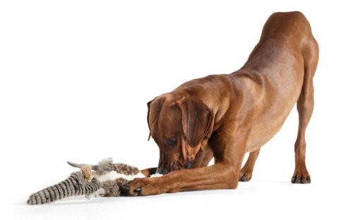 Hunter Rope Birds Dog Toy - Image 3