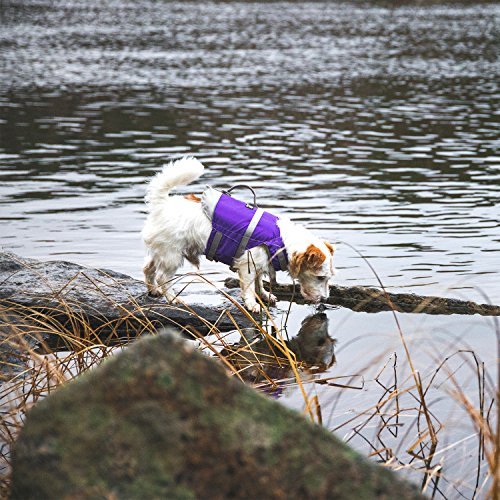 Hurtta Life Savior, Orange, 20-40 lb - Image 4