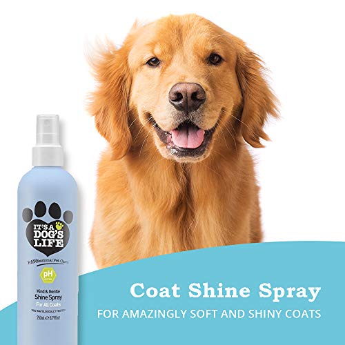 It's A Dog's Life Kind & Gentle Shine Spray For All Coats with Organic Argan Oil + Vitamin E - Image 3
