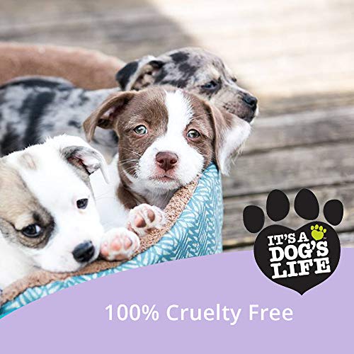 It's A Dog's Life Kind & Gentle Shine Spray For All Coats with Organic Argan Oil + Vitamin E - Image 6