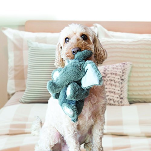 KONG - Comfort Kiddos Bear - Fun Plush Dog Toy with Removable Squeaker - For Large Dogs - Image 3