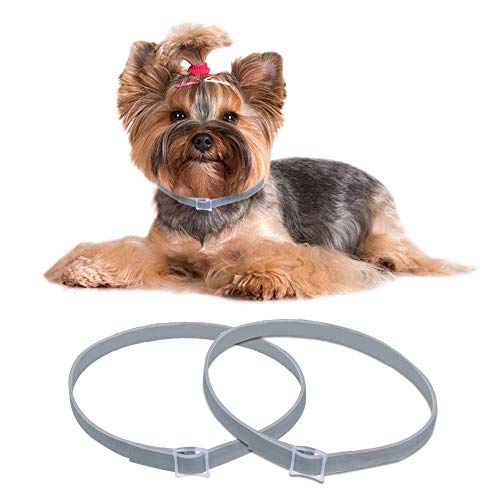 Kungfu Mall 2PCS Waterproof Dog Anti Flea Collar, Flea and Tick Collar for Dogs, Natural & Safe - Image 4