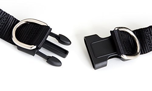 LED Dog Harness collar luminous Harness in the colour green L of the brand PRECORN - Image 6