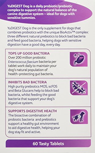 Lintbells YuDIGEST Dog Digestive Health Supplement for dogs prone to tummy troubles - Image 4