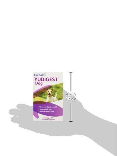 Lintbells YuDIGEST Dog Digestive Health Supplement for dogs prone to tummy troubles - Image 6