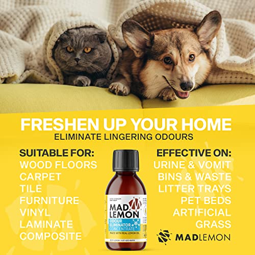 Mad Lemon Pet Odor Eliminator and Neutralizer - Industrial Strength 8oz Concentrate - Makes 1 Gallon - Great for Cat & Dog Odors, Urine, Carpet, Dead Rodent Odor, Mouse, Rat, Sewer, Garbage - Image 3