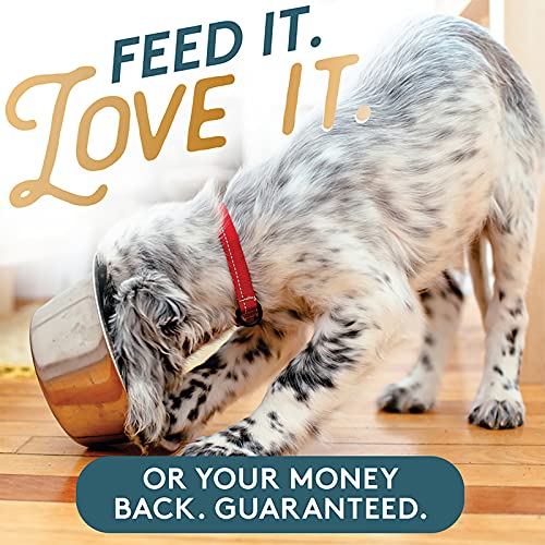 Missing Link for Cats and Dogs - Image 6