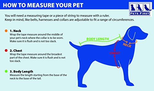 NFL NFLPA TOM BRADY HOODIE for DOGS & CATS NEW ENGLAND PATRIOTS Dog T-Shirt, Medium | Sports HOODY Tee Shirt for Pets | Licensed Sporty Dog Shirt. - Image 4