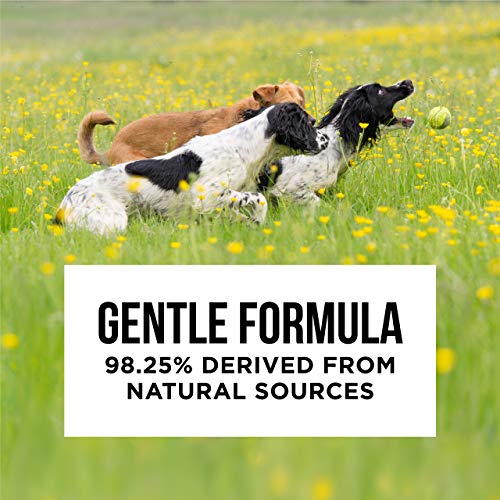 Natural Rapport Dog Shampoo, The Only Dog Shampoo Dogs Need, 5-in-1 Dog Shampoo and Conditioner, Dog Shampoo Sensitive Skin with Aloe and Oatmeal (473 ml) - Image 6