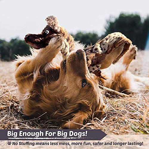 Newthinking Dog Squeaky Toys, No Stuffing Soft Dog Toys, Durable Plush Dog Toys for Small Medium Dog (5 PACK) - Image 5