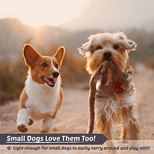 Newthinking Dog Squeaky Toys, No Stuffing Soft Dog Toys, Durable Plush Dog Toys for Small Medium Dog (5 PACK) - Image 6