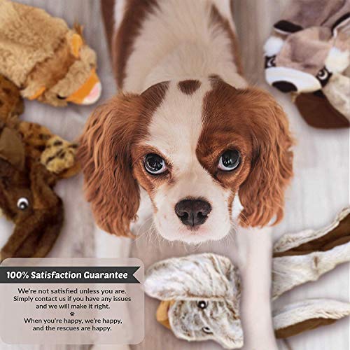 Newthinking Dog Squeaky Toys, No Stuffing Soft Dog Toys, Durable Plush Dog Toys for Small Medium Dog (5 PACK) - Image 7