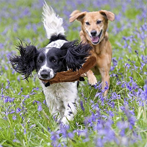 Nollary Dog Squeaky Toys No Stuffing, Soft Squirrel and Raccoon Plush Toys with Squeaker for Dogs Avoid Boredom, 16 inch, Pack of 2 - Image 6