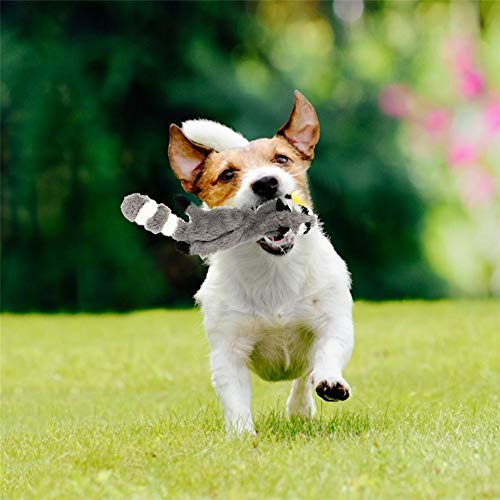 Nollary Dog Squeaky Toys No Stuffing, Soft Squirrel and Raccoon Plush Toys with Squeaker for Dogs Avoid Boredom, 16 inch, Pack of 2 - Image 7