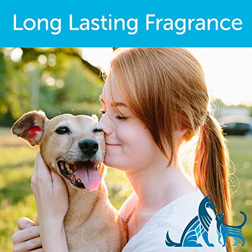 Nootie Daily Spritz Sweet Pea and Vanilla Pet Conditioning Spray, 8 oz - Image 5